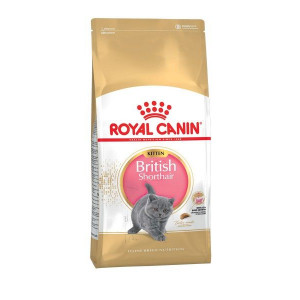 РОЯЛ КАНИН Д/КОТЯТ БРИТАНСКИХ КОРОТКОШ. 2КГ. (ВЕТ.) [R.C. ROYAL CANIN]