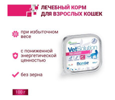 МОНЖЕ КЭТ VETSOLUTION КОРМ Д/КОШЕК ПРИ ВОССТАН. В ПЕРИОД ВЫЗДОР. РЕКАВЕРИ 100Г. (ВЕТ.) [MONGE CAT]