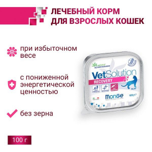 МОНЖЕ КЭТ VETSOLUTION КОРМ Д/КОШЕК ПРИ ВОССТАН. В ПЕРИОД ВЫЗДОР. РЕКАВЕРИ 100Г. (ВЕТ.) [MONGE CAT]