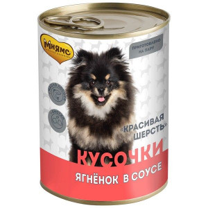МНЯМС ВЛАЖН.КОРМ Д/СОБАК ВСЕХ ПОРОД КУСОЧКИ В СОУСЕ КРАСИВАЯ ШЕРСТЬ ЯГНЕНОК 400Г. (ВЕТ.)